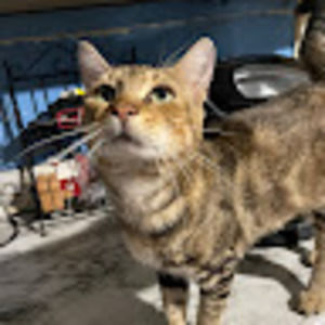 Meet your Posher, Claudia